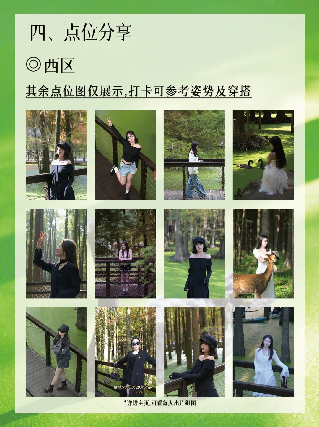 青山湖绿了🍃!杭州可冲🔝!后附详细攻略🔎!