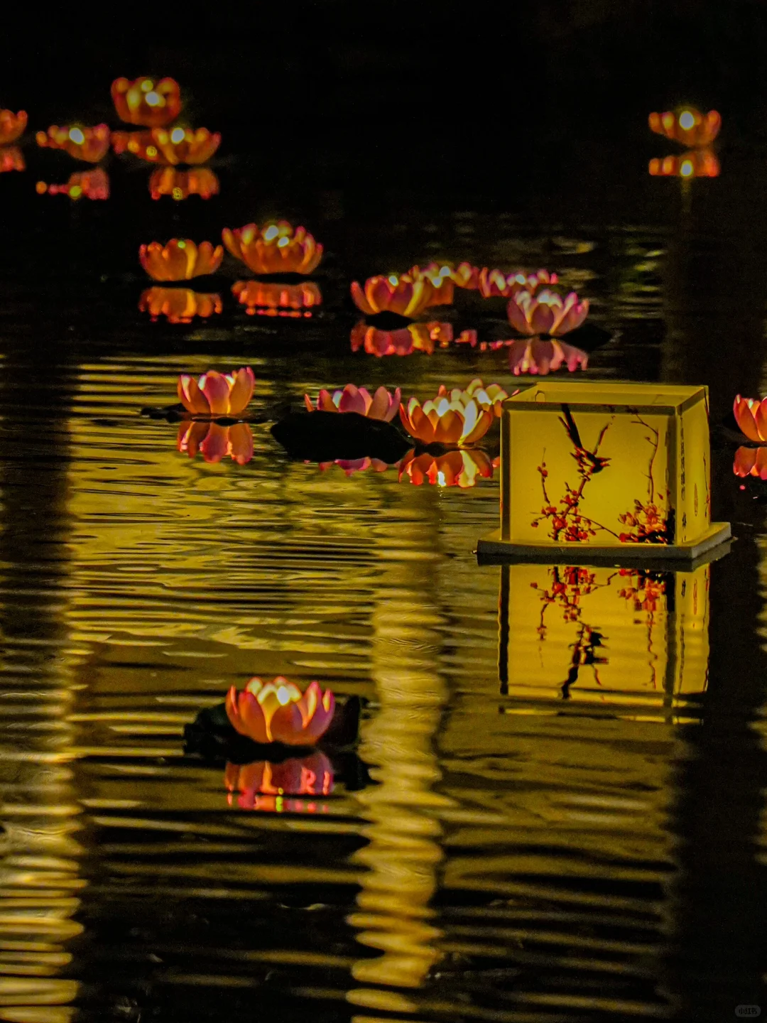 以为贵阳够美了，直到我来到了这里……