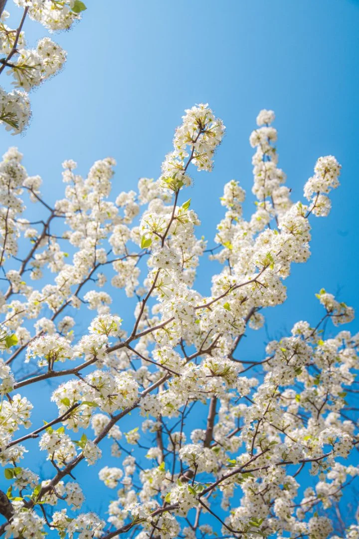 五一必去！茅山东方盐湖城撒欢指南🎉