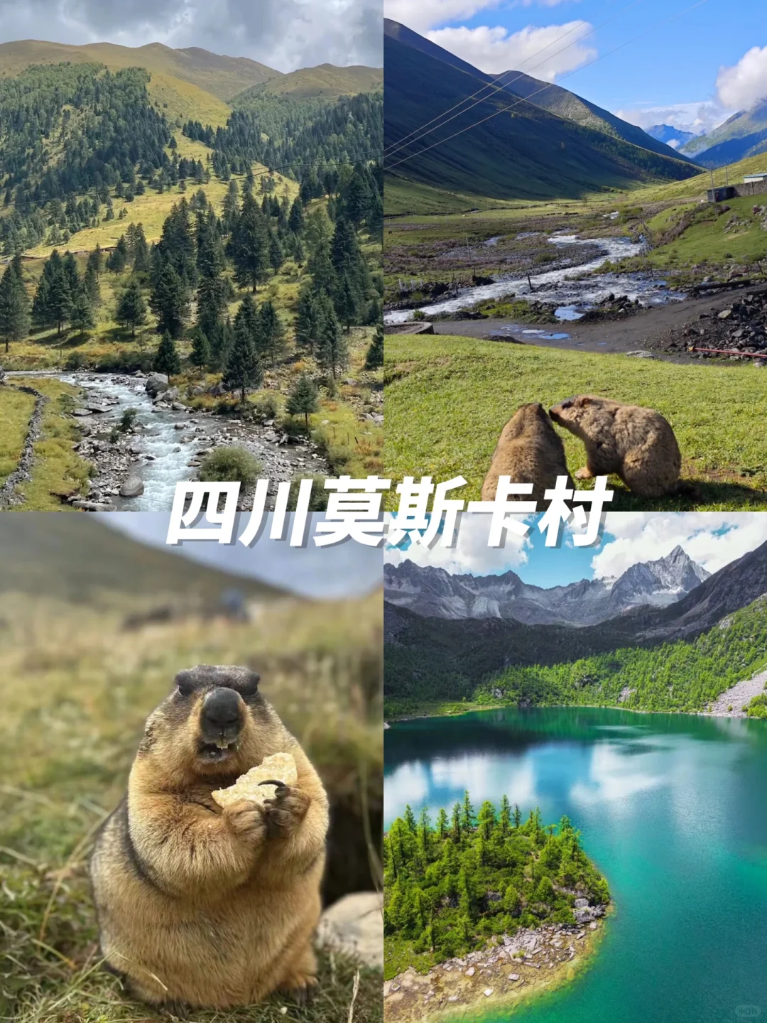 五一反向旅游进👏炒冷门小众的宝藏打卡点‼️