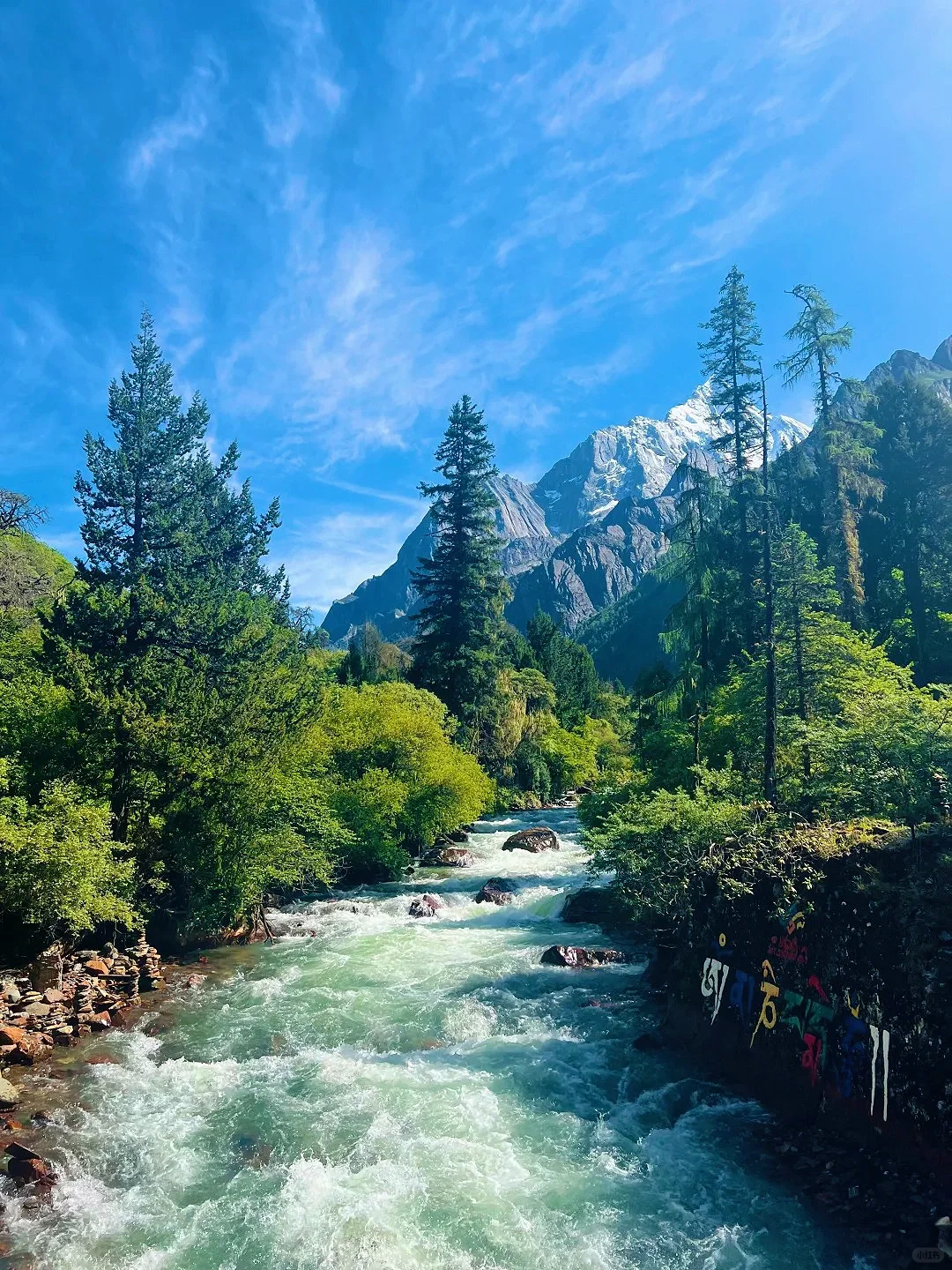 四姑娘山豪赌成功！美过瑞士的夏日氧吧🍃💐