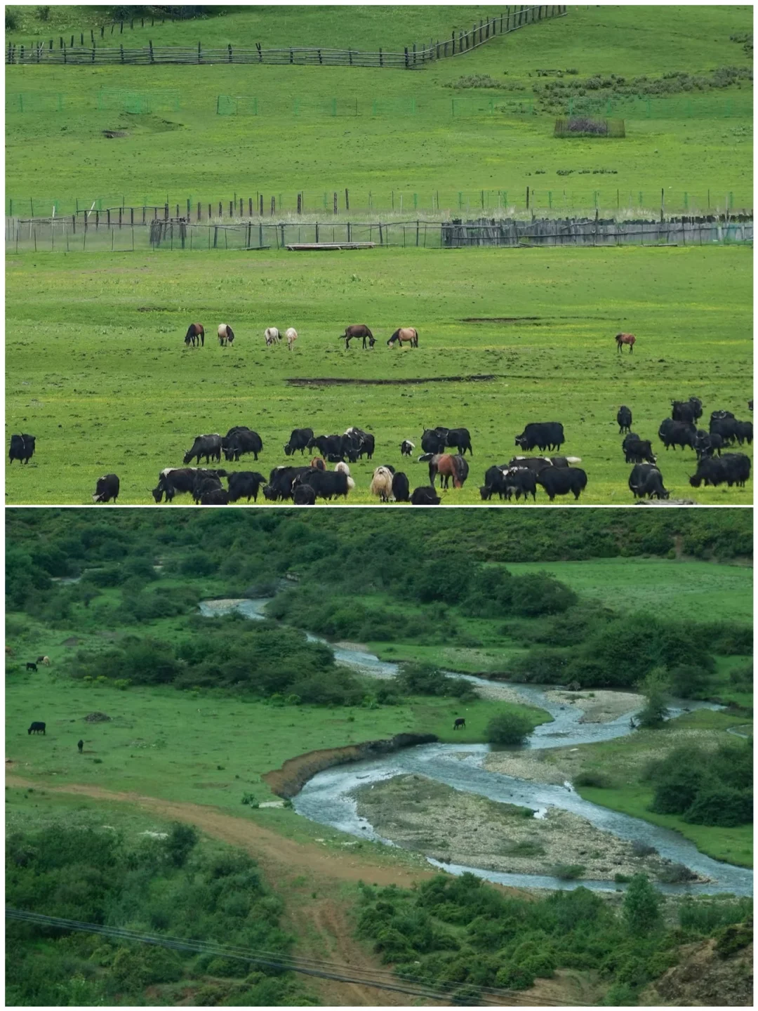 五一反向游，4个小众城市人少景美不踩雷