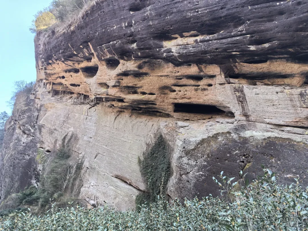 春节前游衢州和武夷山day3大红袍景区