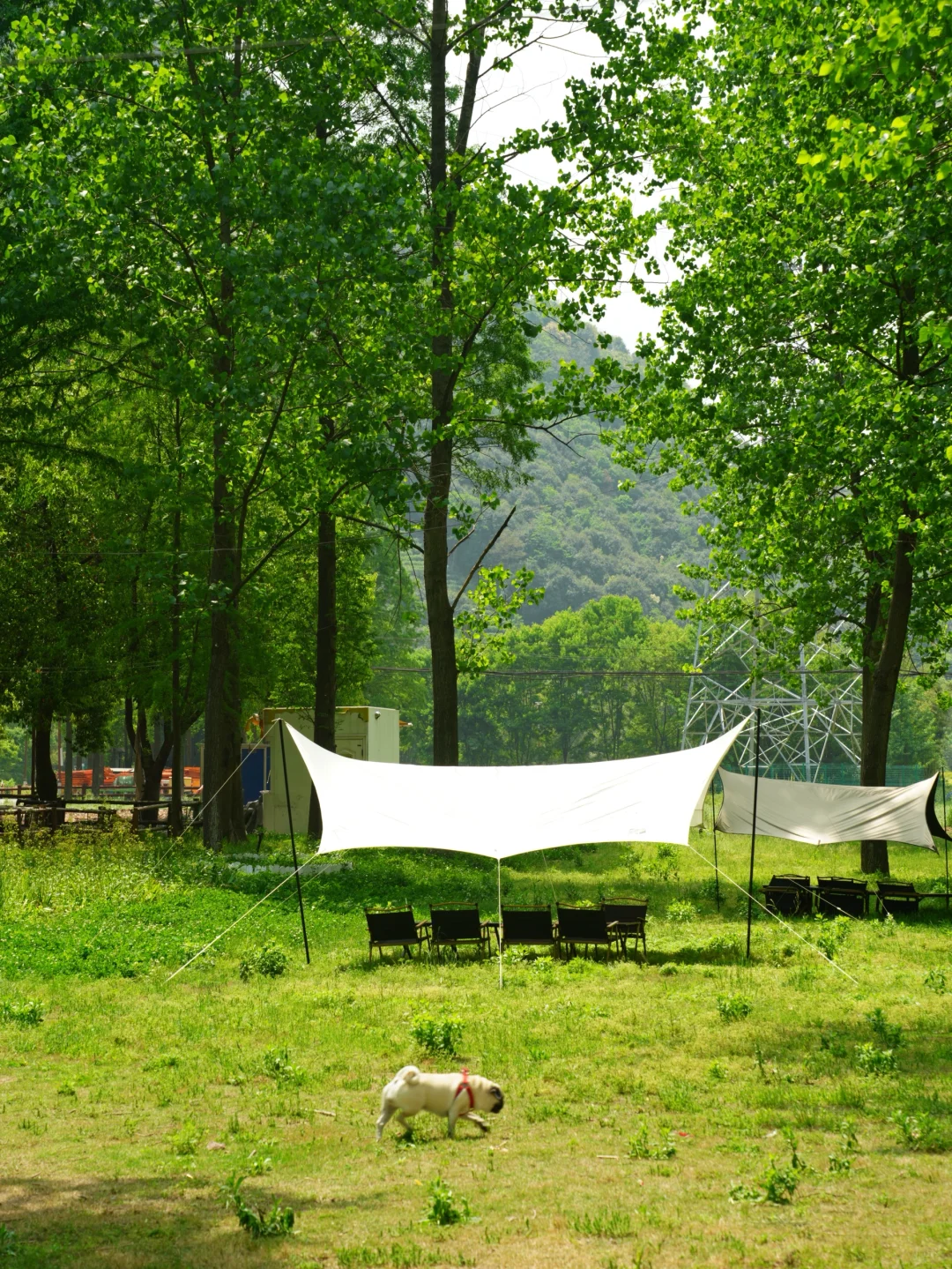 江浙沪绝对冷门有趣的地方❗太舒服了