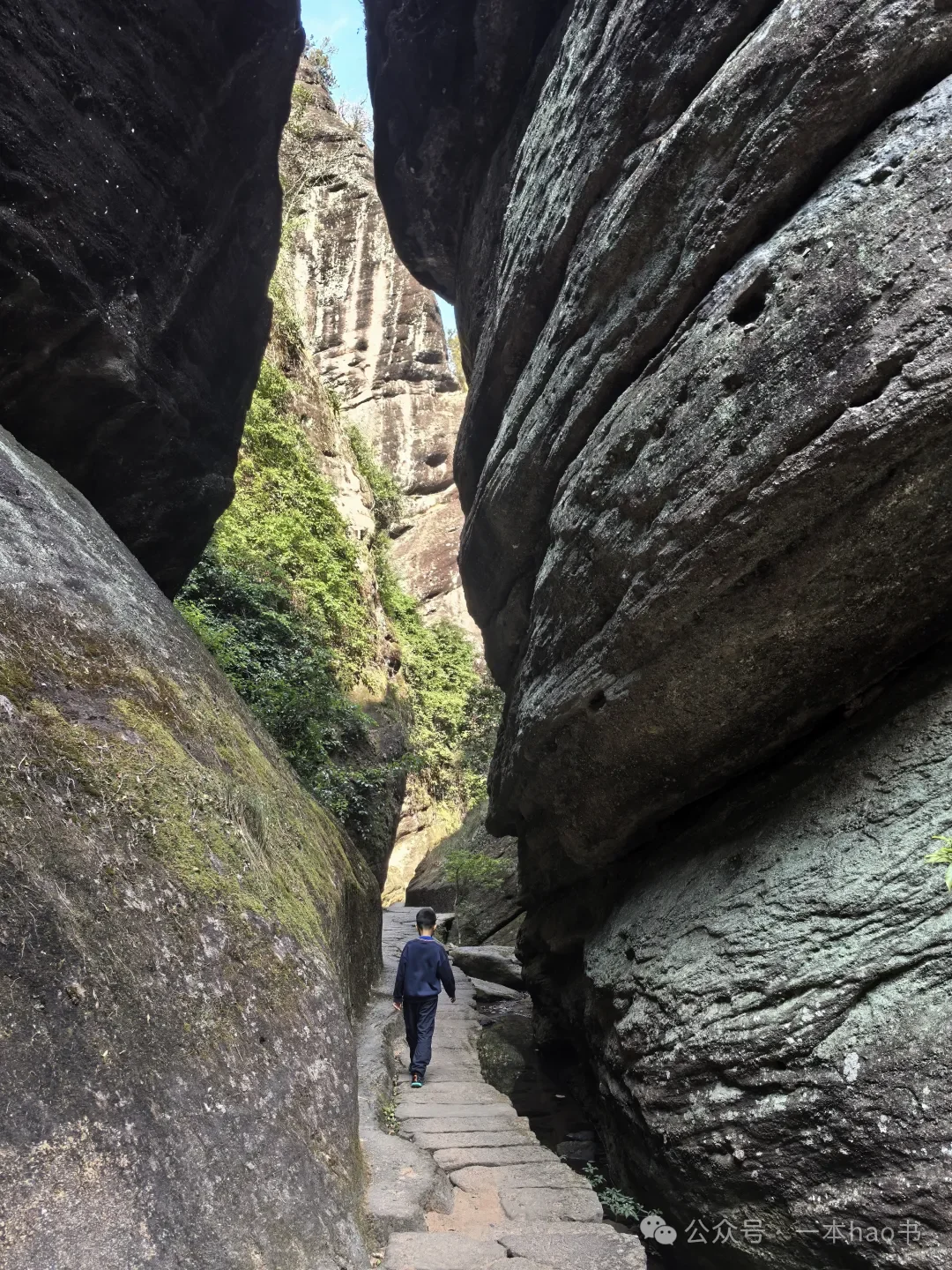 春节前游衢州和武夷山day3大红袍景区