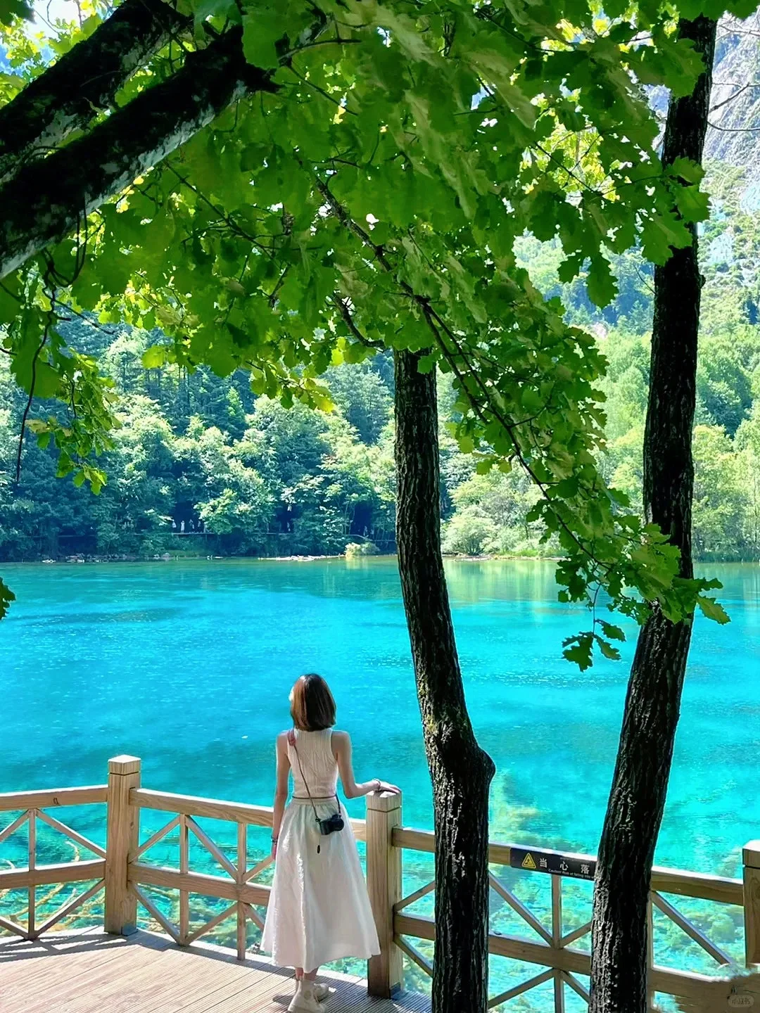 四姑娘山豪赌成功！美过瑞士的夏日氧吧🍃💐