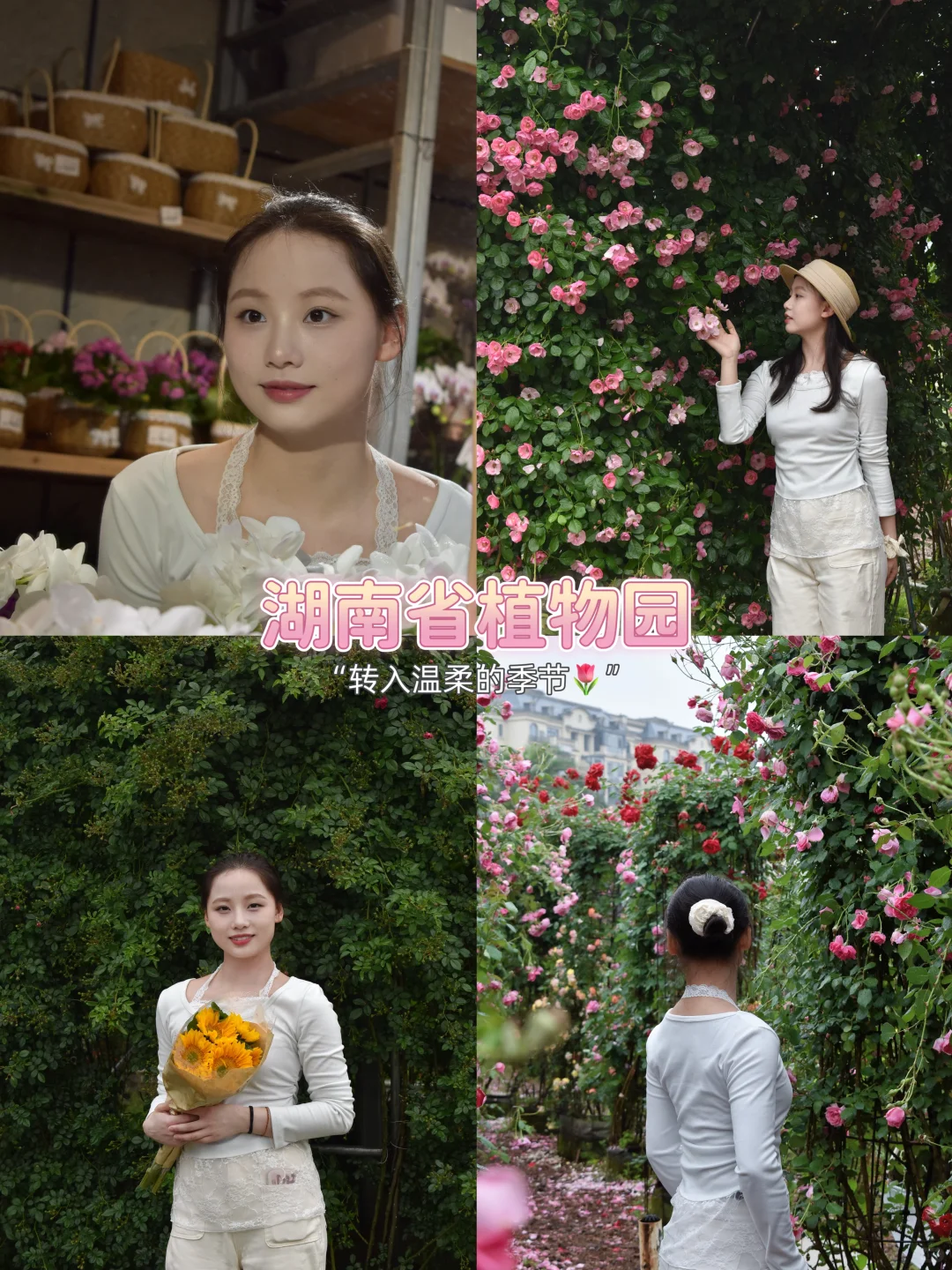 📸长沙 5 个必出片的赏春好去处