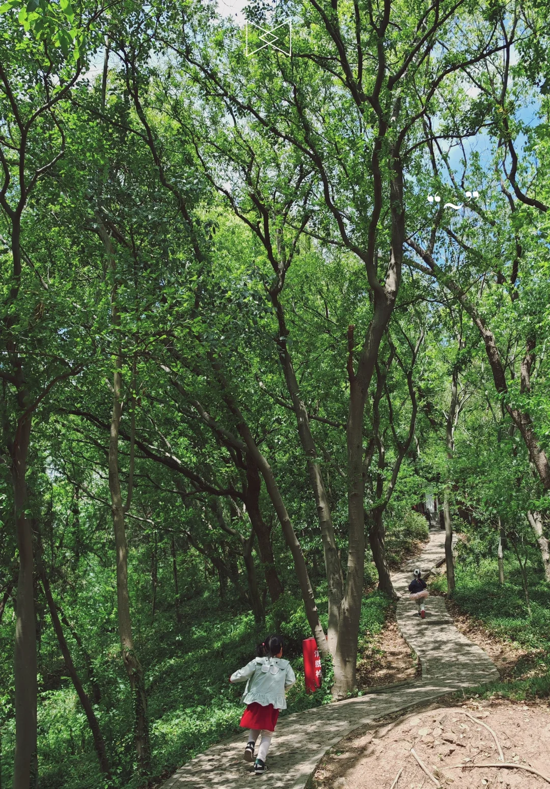 上海天马山亲子友好徒步：强烈推荐低幼宝宝