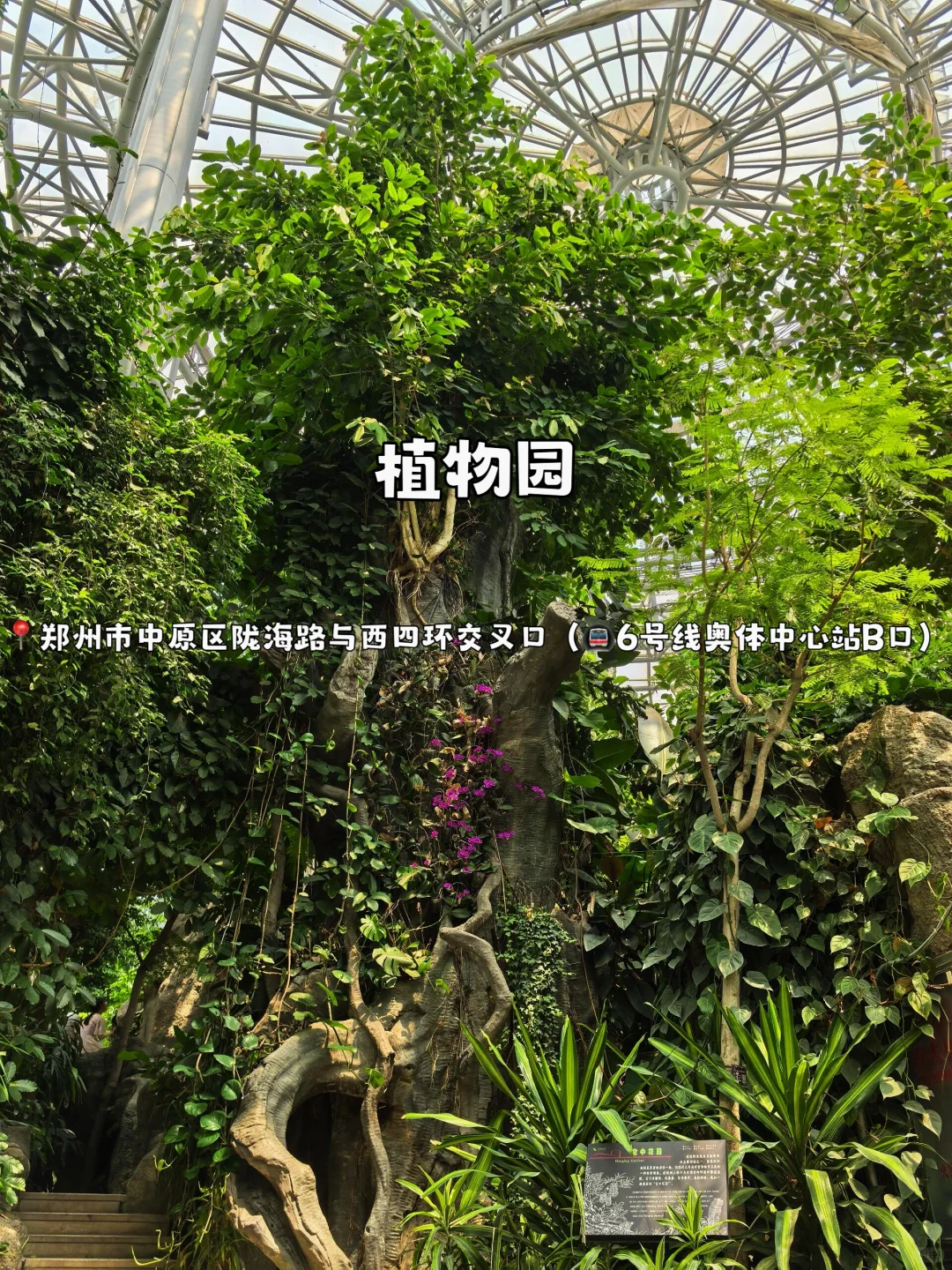 地铁直达🚇｜郑州12个游玩景点攻略合集