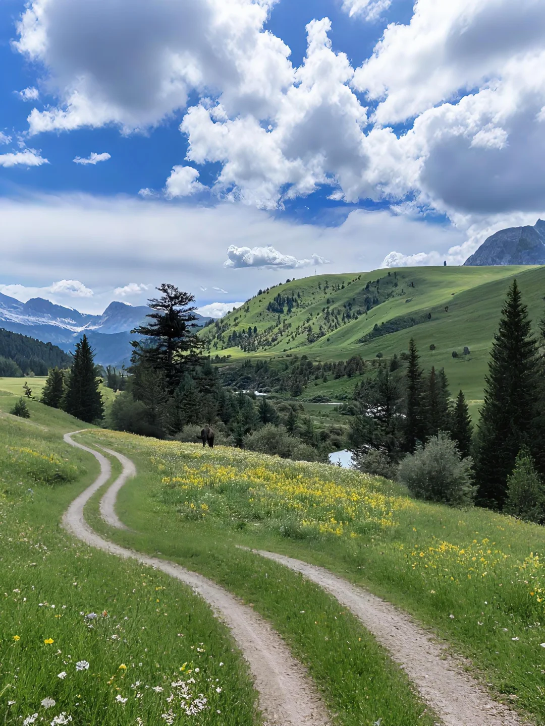 不在瑞士...在川西🏔️！！💐5-8月超浪漫好拍