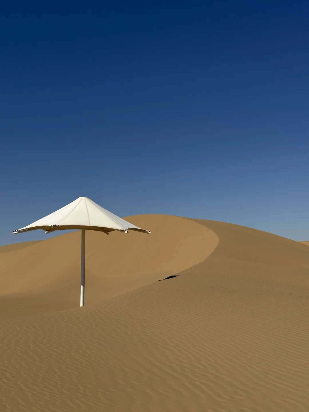 没出国！内蒙古响沙湾已经美到next level…😭