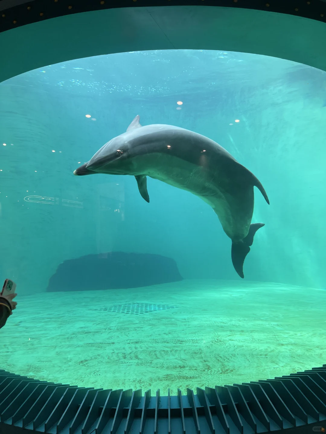 🌊哈尔滨极地公园· 全天候畅玩指南🐋