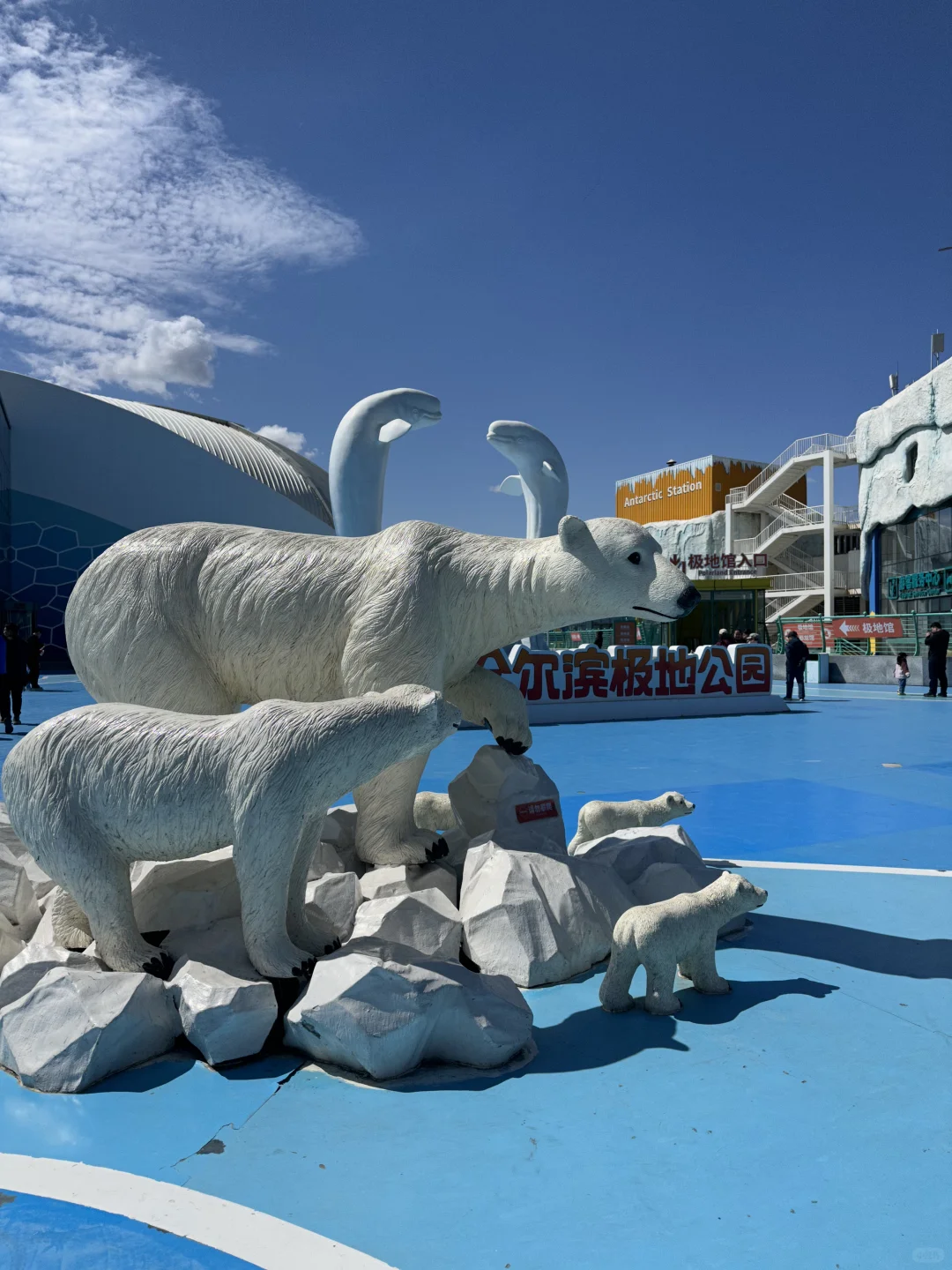 🌊哈尔滨极地公园· 全天候畅玩指南🐋