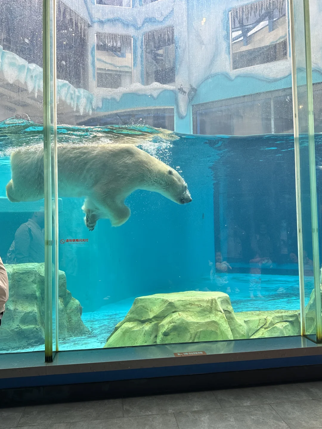 🌊哈尔滨极地公园· 全天候畅玩指南🐋