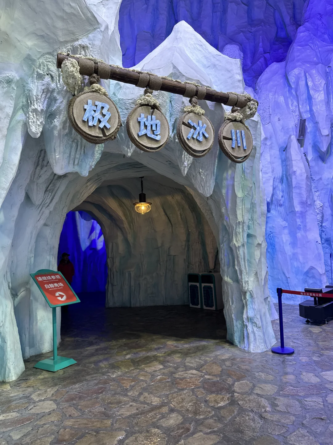 🌊哈尔滨极地公园· 全天候畅玩指南🐋