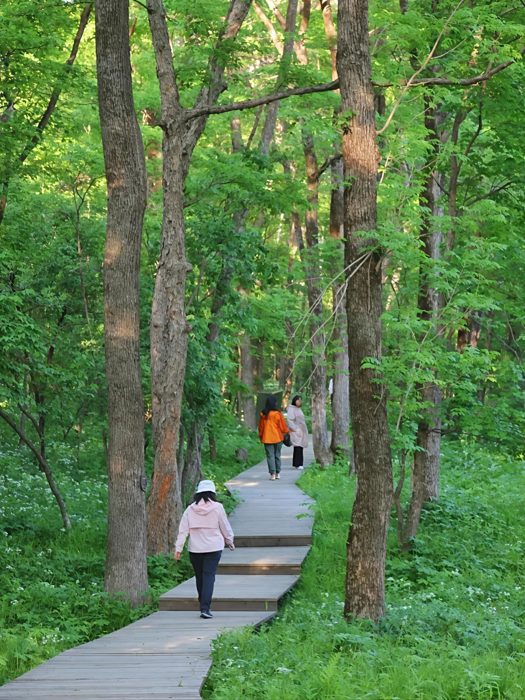 暑假不冲长白山真的会后悔一整年！！