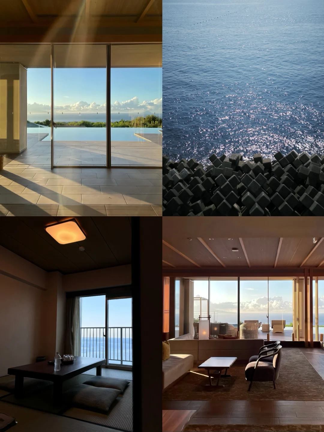 伊豆2日游攻略｜🚄东京1.5h 走进漫画世界🌳