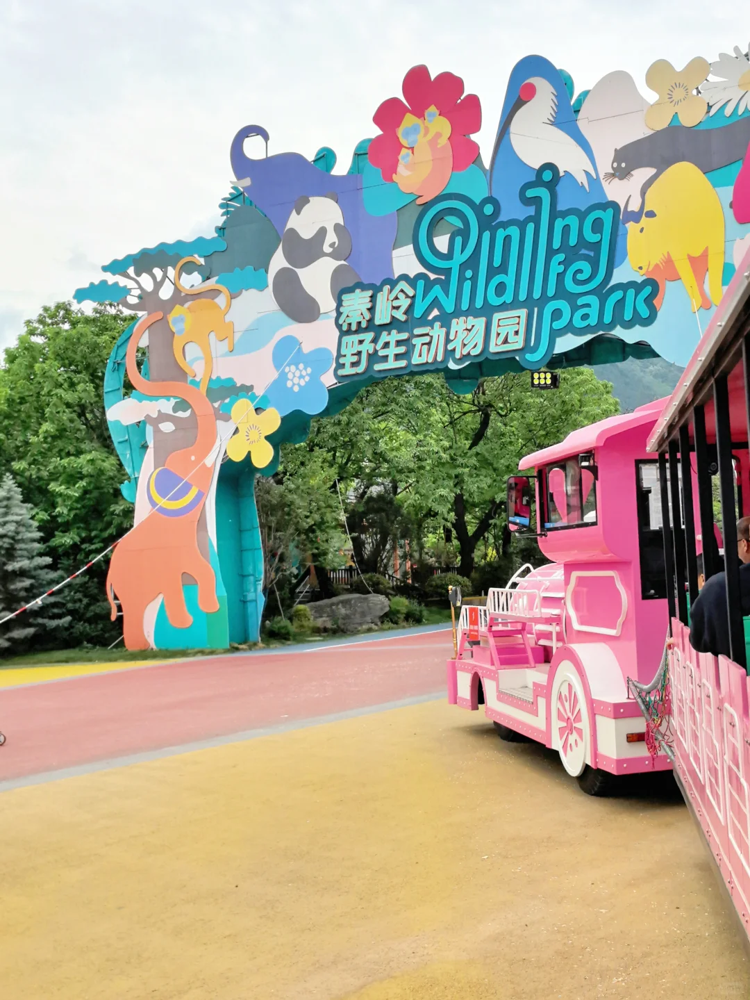 崩溃❗️秦岭野生动物园会惩罚不做攻略每个