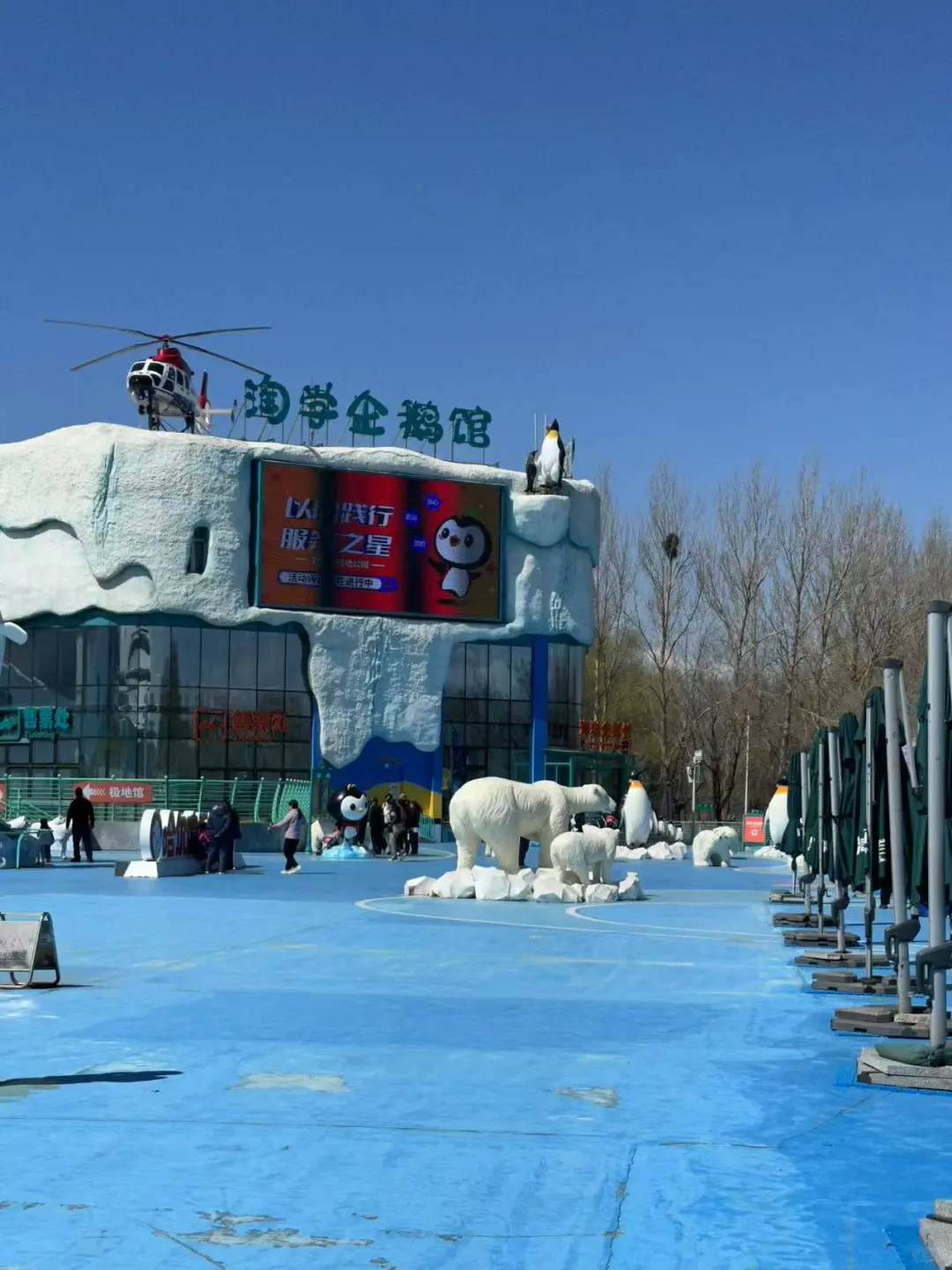 🌊哈尔滨极地公园· 全天候畅玩指南🐋