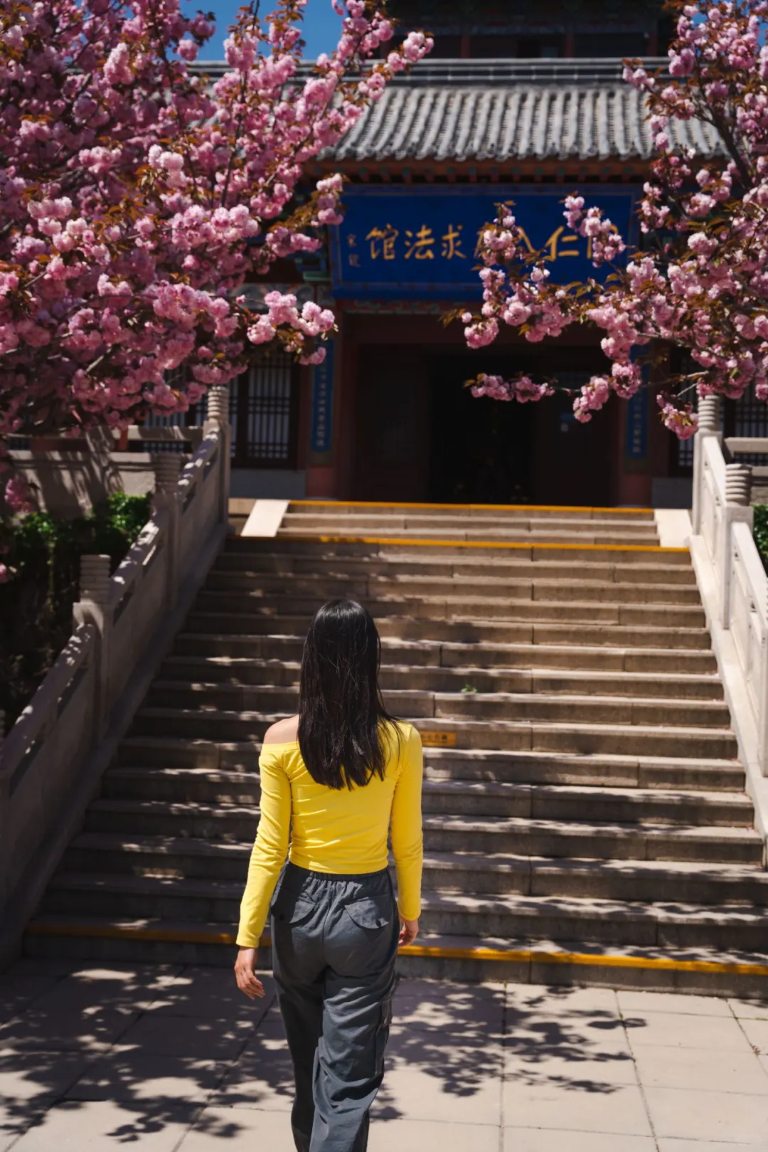 🌸🔥五一特辑！威海石岛赤山樱花节全攻