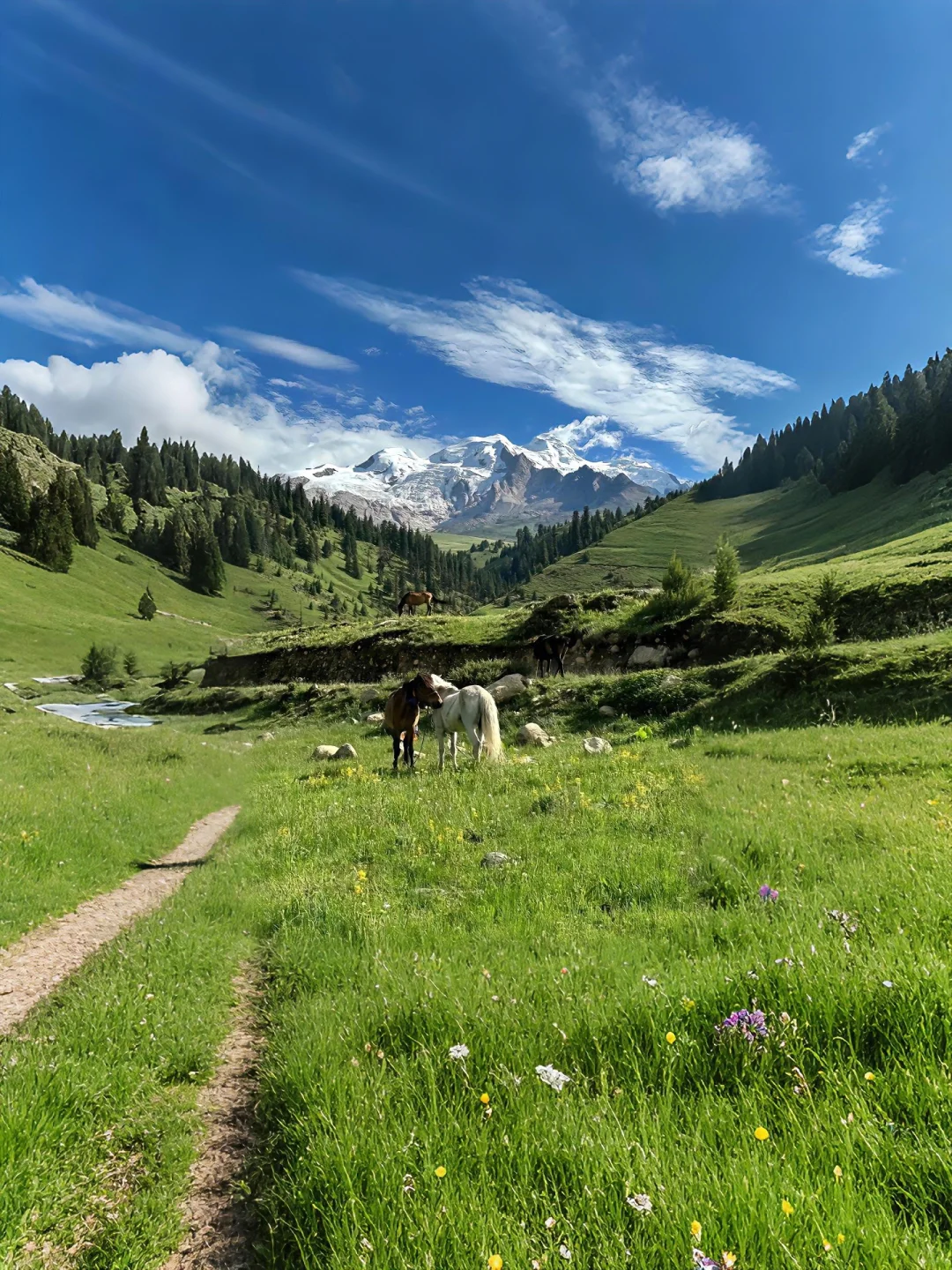 不在瑞士...在川西🏔️！！💐5-8月超浪漫好拍