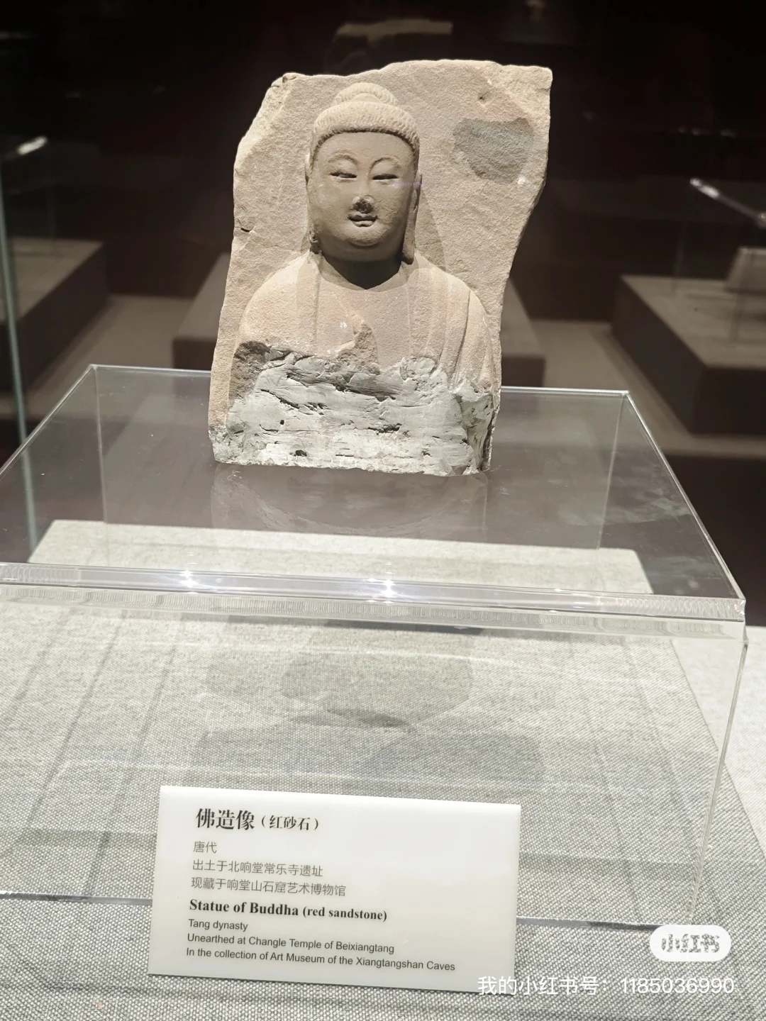 天津人五一逃人潮！邯郸小众景点包场玩🎉