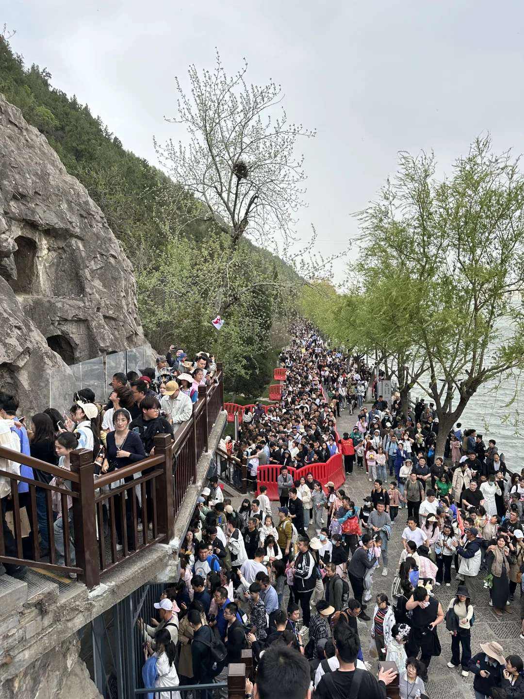 洛阳已回 全是人从众𠈌！