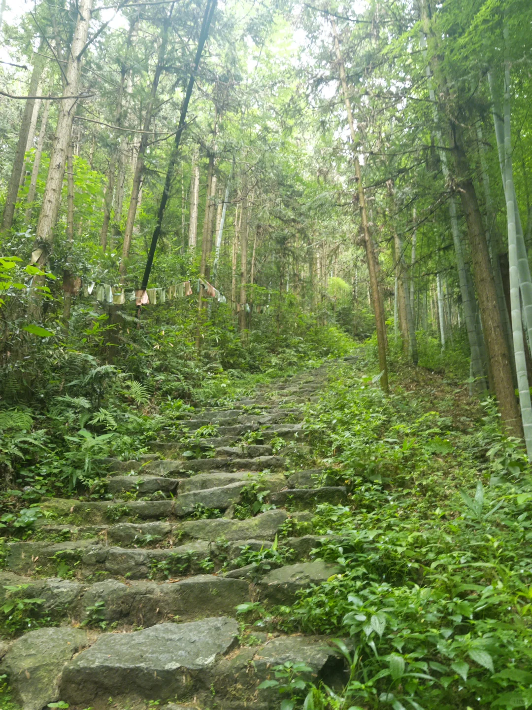 还有人没去过金华南山吗?