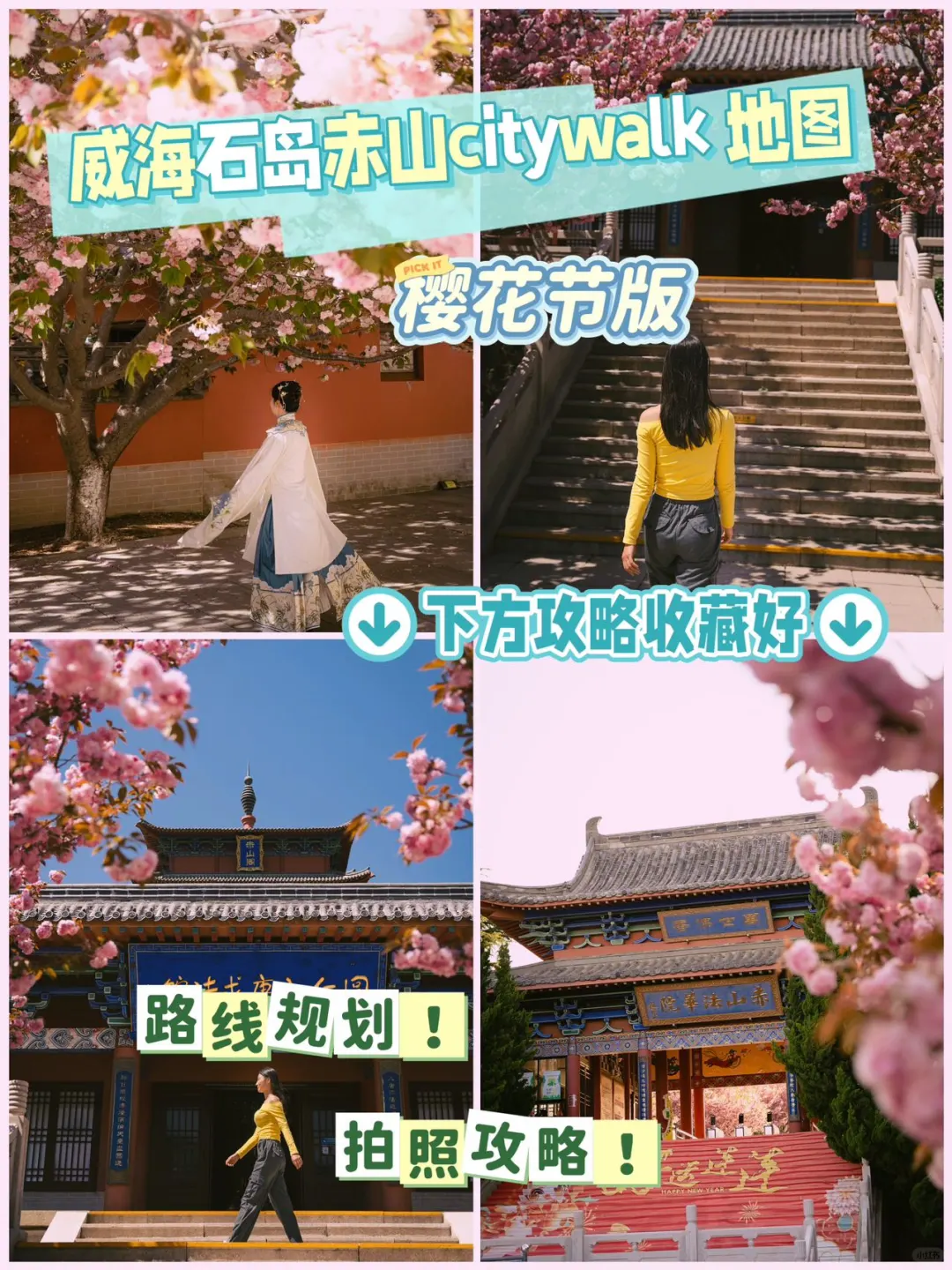 🌸🔥五一特辑！威海石岛赤山樱花节全攻