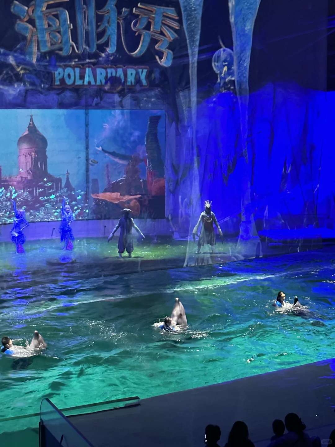 🌊哈尔滨极地公园· 全天候畅玩指南🐋