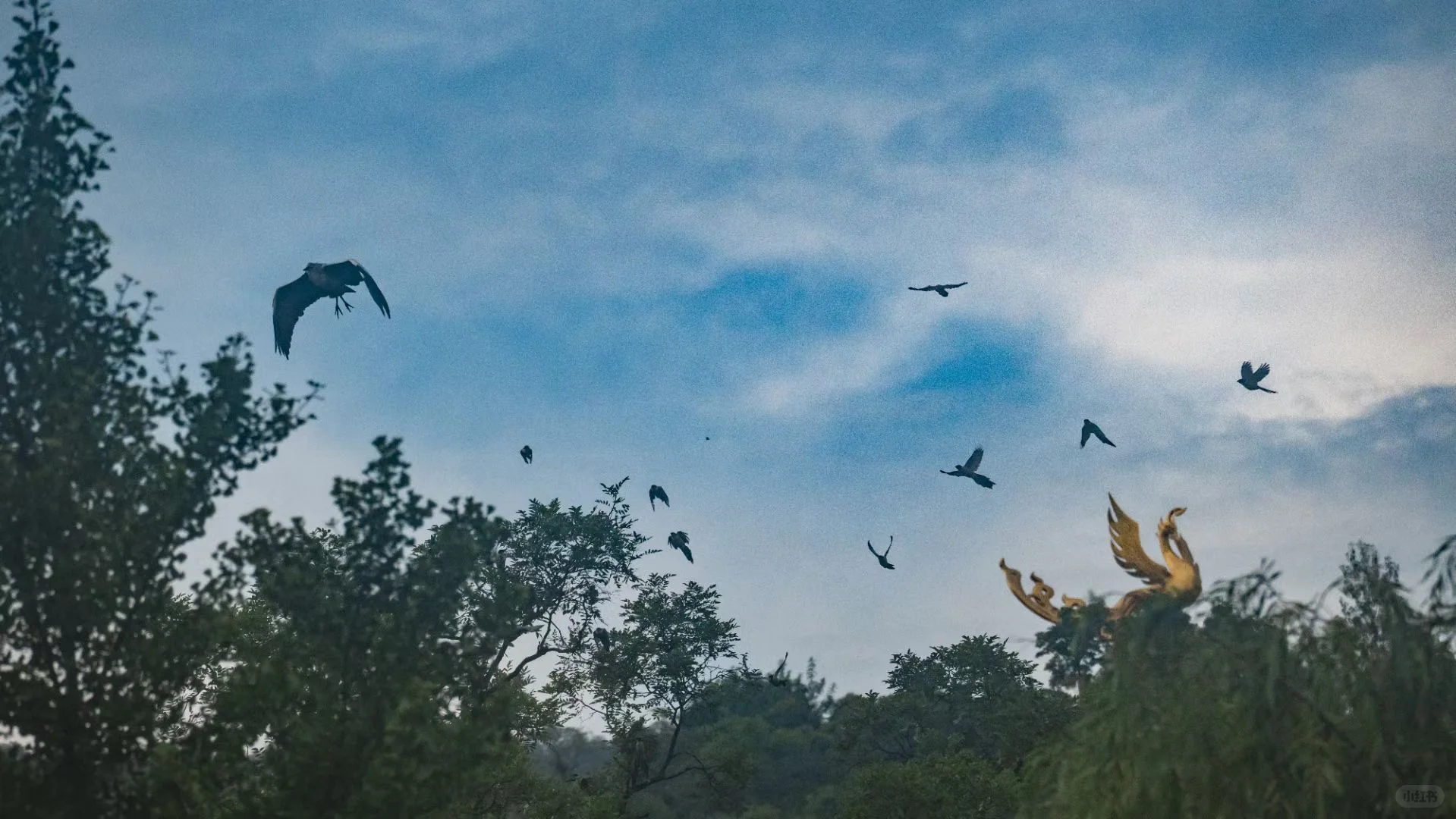 西安周边五一遛娃推荐- 中国周原景区