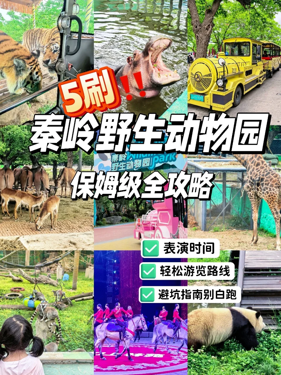 崩溃❗️秦岭野生动物园会惩罚不做攻略每个