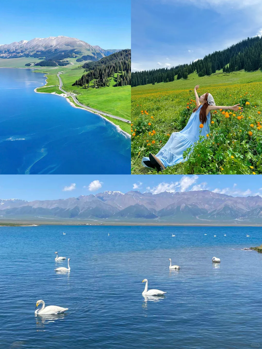 🍃一生总要去一次新疆过夏天🌈
