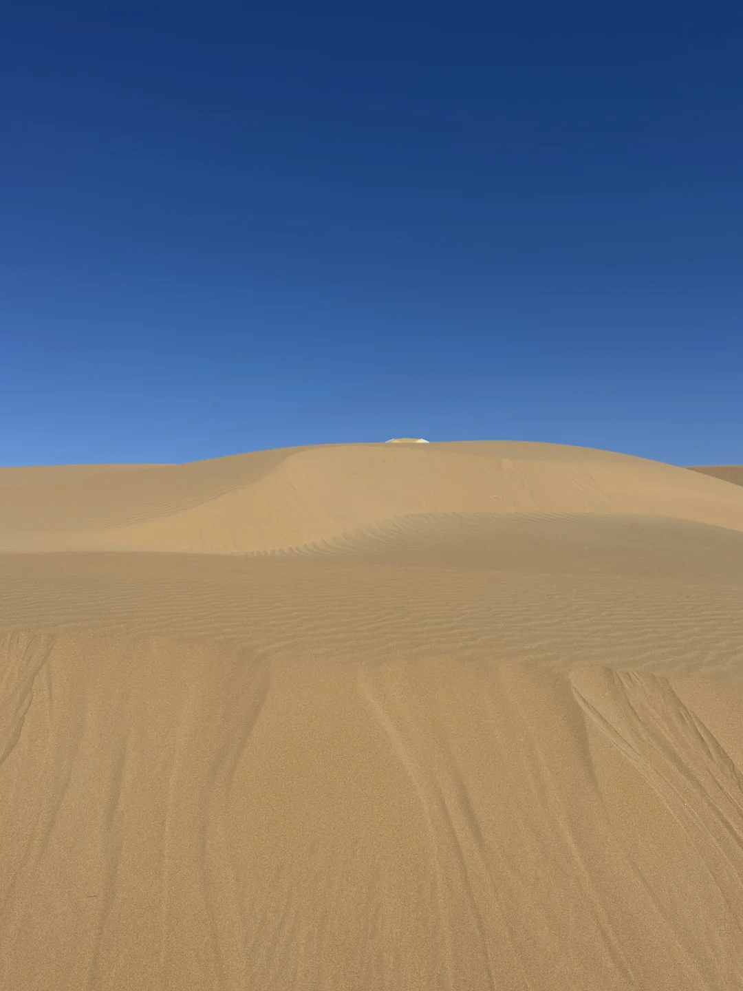 没出国！内蒙古响沙湾已经美到next level…😭