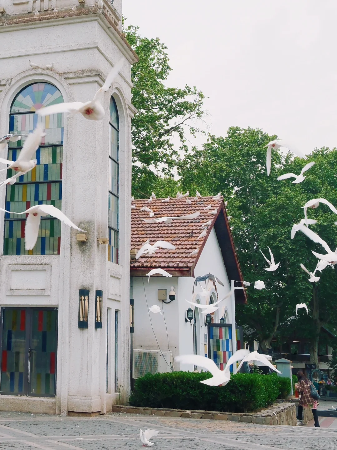 杭州出发30min🕊️米兰同款和平鸽教堂美翻了