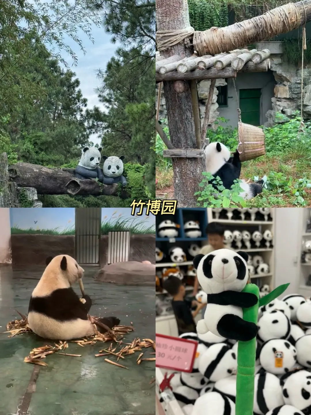 【安吉情侣游攻略｜本地人看了都夸会玩！】