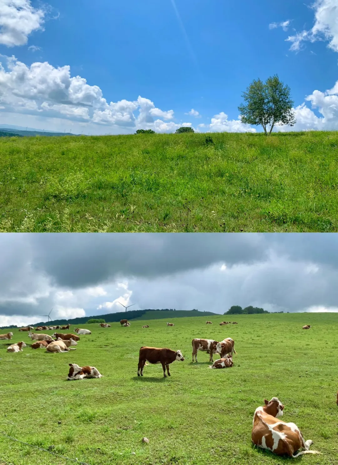 穿越千年，邂逅邯郸响堂山石窟的神秘魅力