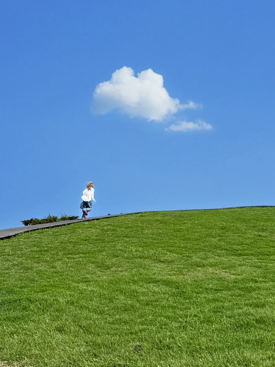 伊豆2日游攻略｜🚄东京1.5h 走进漫画世界🌳
