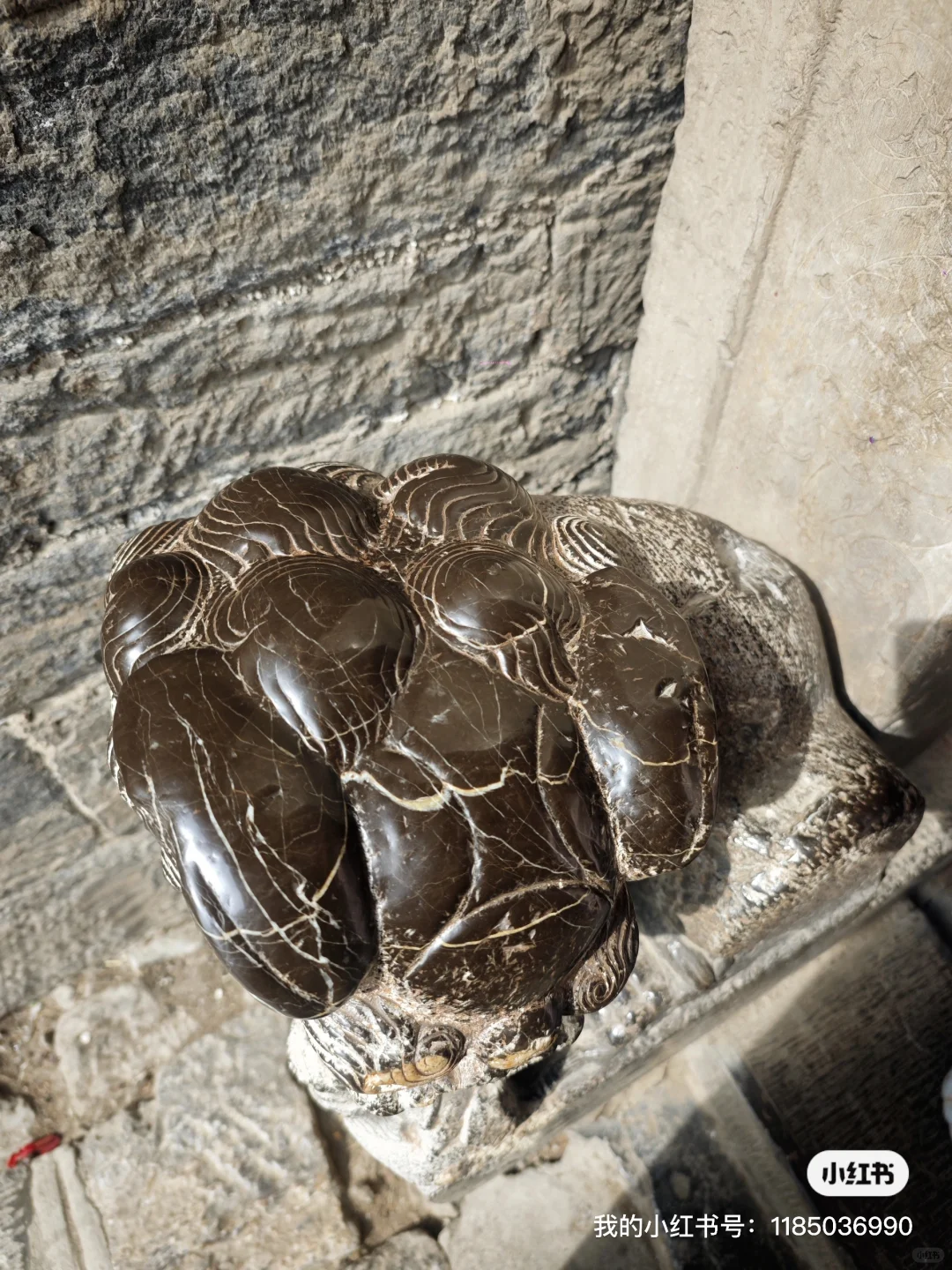 天津人五一逃人潮！邯郸小众景点包场玩🎉