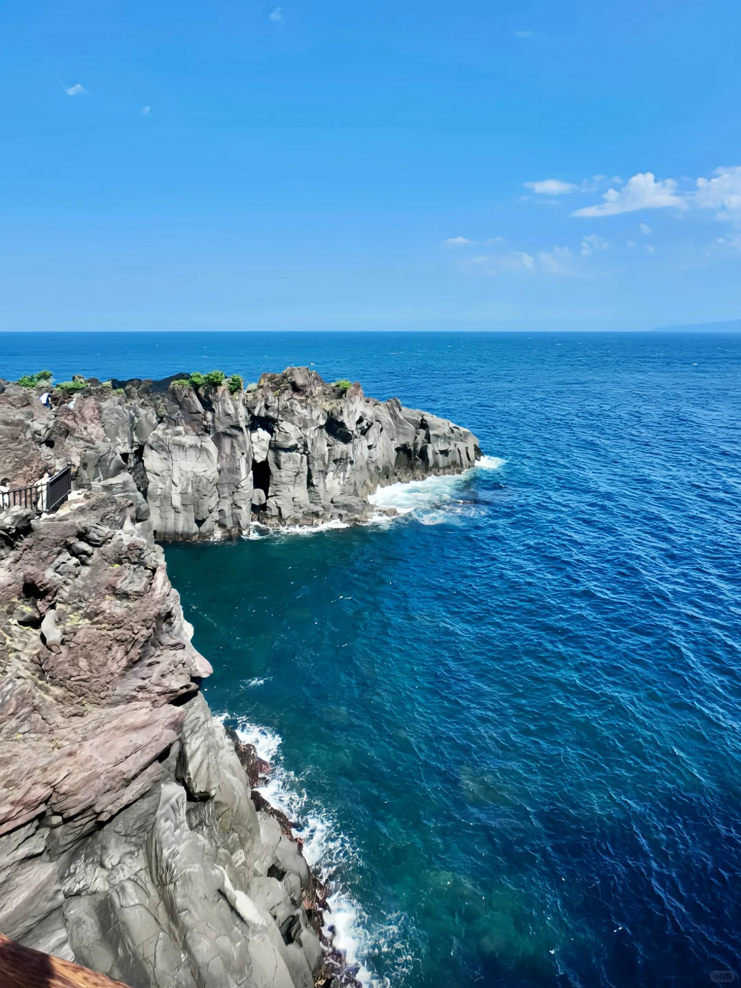 伊豆2日游攻略｜🚄东京1.5h 走进漫画世界🌳