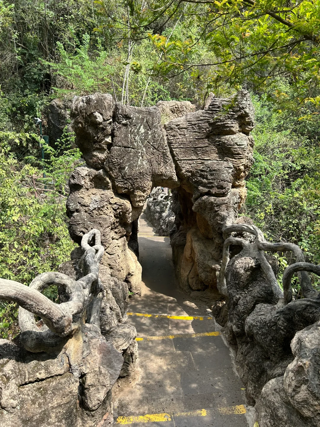 黄果树瀑布景区也太绕了📷