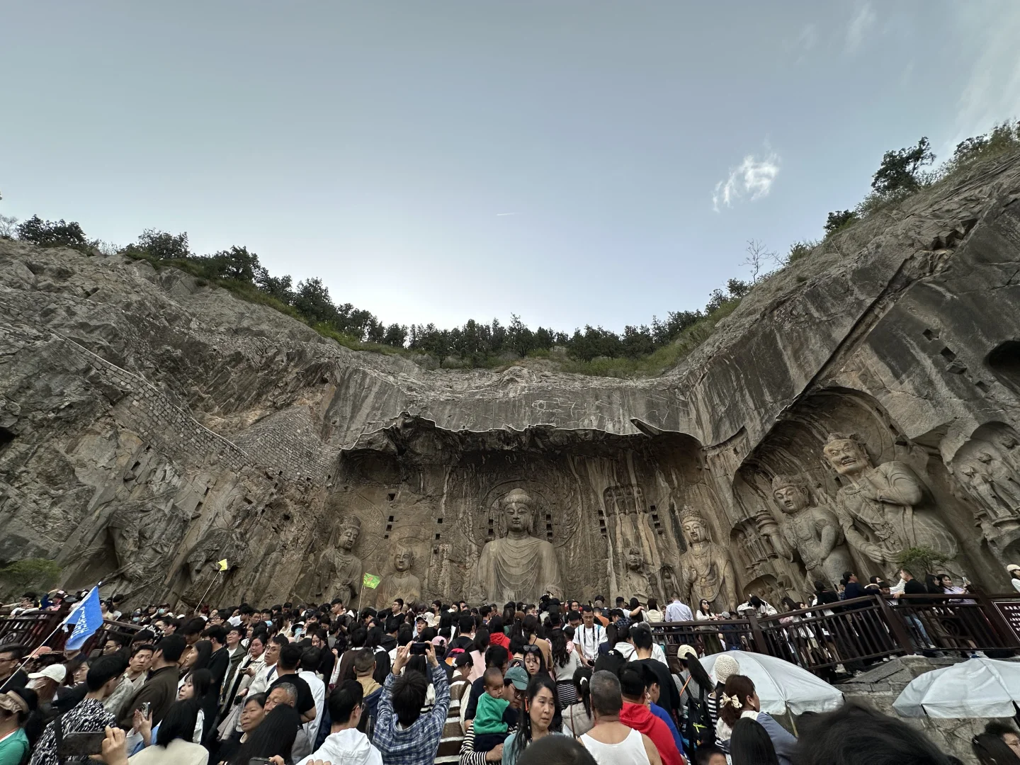 洛阳已回 全是人从众𠈌！