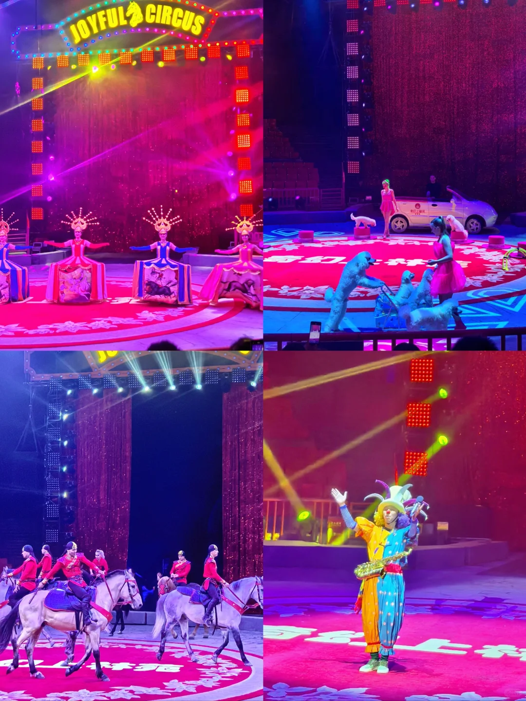 崩溃❗️秦岭野生动物园会惩罚不做攻略每个