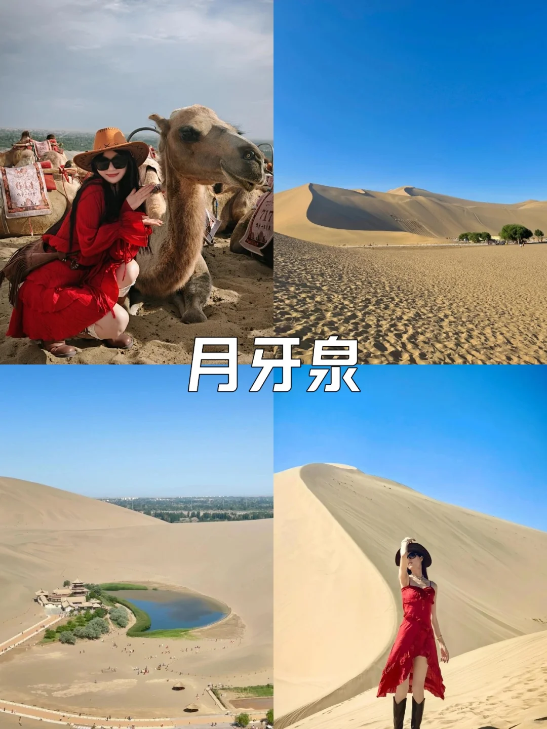 青海已回，真心建议未出行，因为真的…