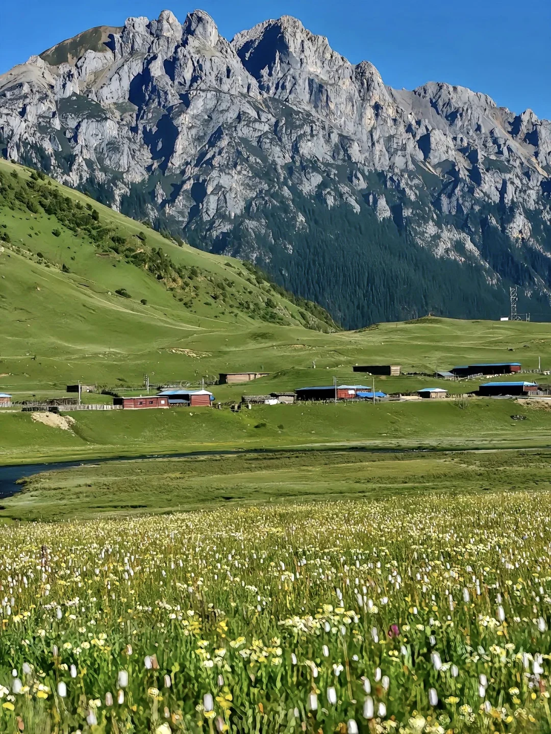 不在瑞士...在川西🏔️！！💐5-8月超浪漫好拍