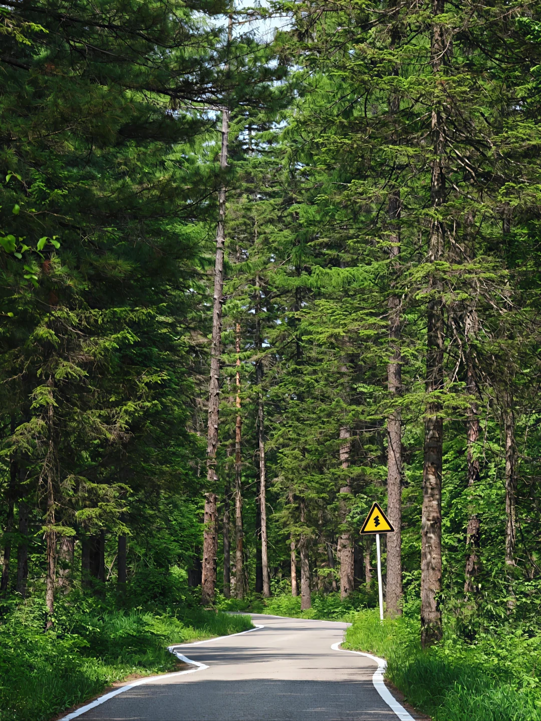 暑假不冲长白山真的会后悔一整年！！