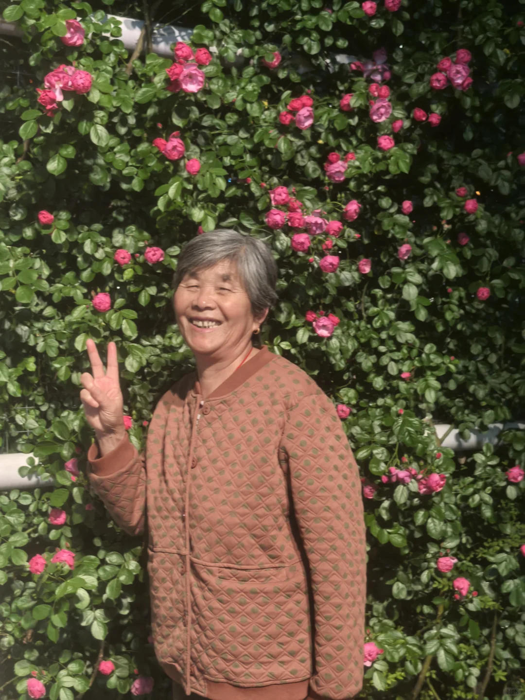 闯入南浦大桥花海秘境！江边吹风附夜景！