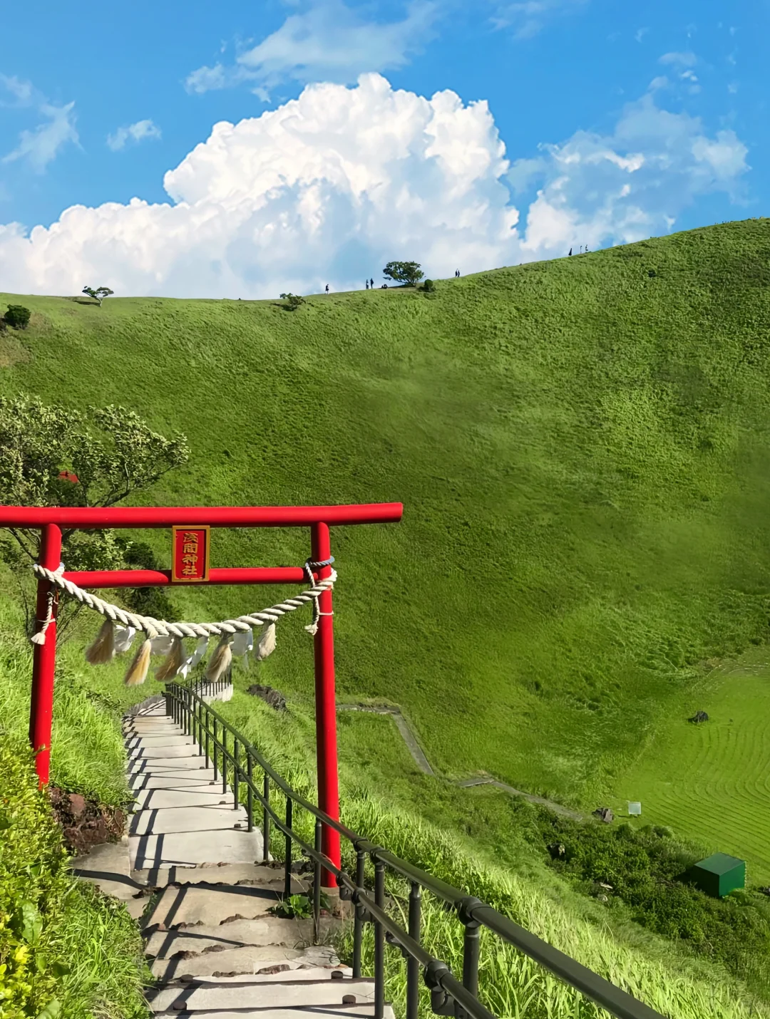 伊豆2日游攻略｜🚄东京1.5h 走进漫画世界🌳