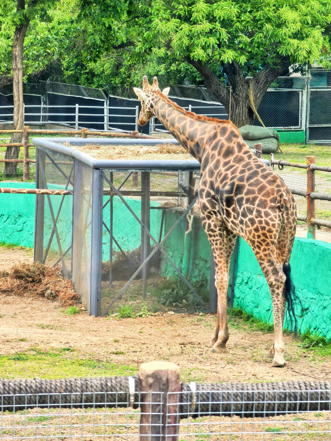崩溃❗️秦岭野生动物园会惩罚不做攻略每个