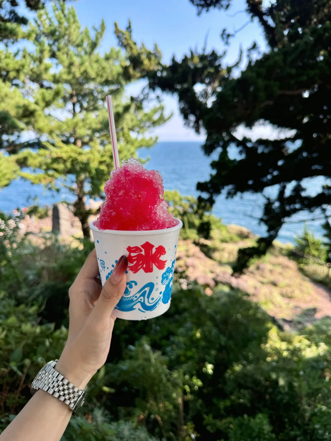 伊豆2日游攻略｜🚄东京1.5h 走进漫画世界🌳